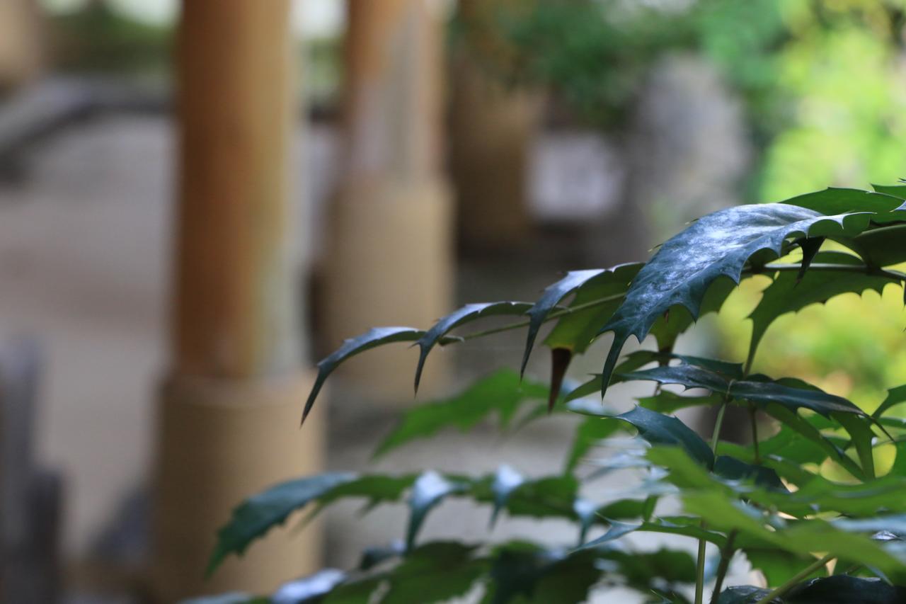 Ryokan Otsukien Kikuchi Exteriör bild